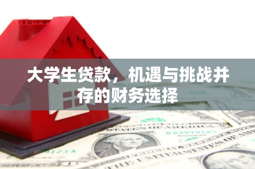 清镇大学生贷款，机遇与挑战并存的财务选择