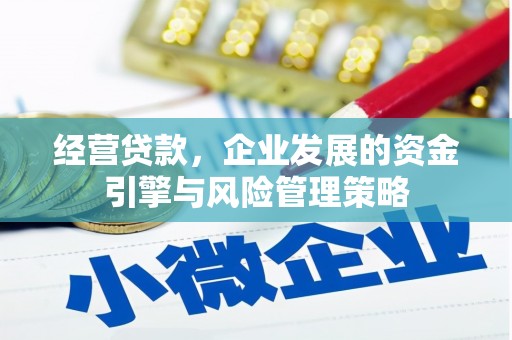 清镇经营贷款，企业发展的资金引擎与风险管理策略