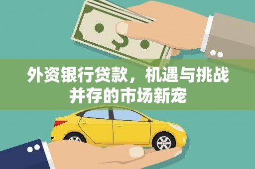 清镇外资银行贷款，机遇与挑战并存的市场新宠