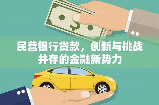 清镇民营银行贷款，创新与挑战并存的金融新势力