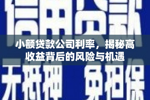 清镇小额贷款公司利率，揭秘高收益背后的风险与机遇