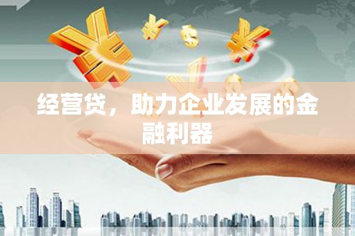 清镇经营贷，助力企业发展的金融利器