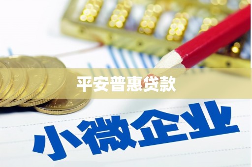 清镇平安普惠贷款