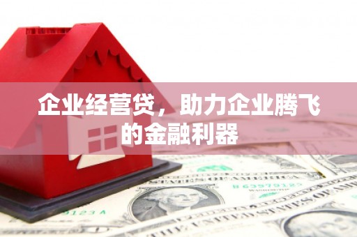 清镇企业经营贷，助力企业腾飞的金融利器
