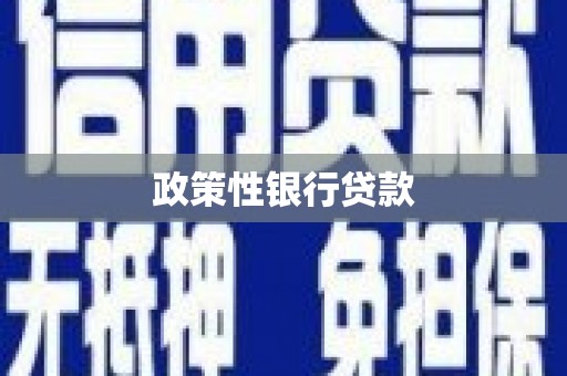 清镇政策性银行贷款