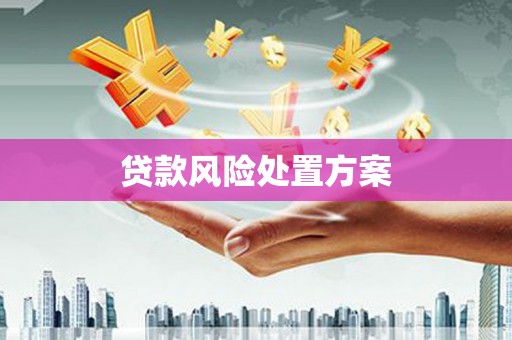 清镇贷款风险处置方案