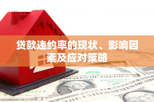 清镇贷款违约率的现状、影响因素及应对策略