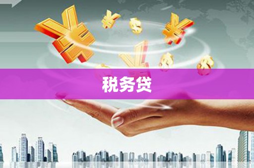 清镇税务贷