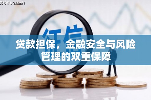 清镇贷款担保，金融安全与风险管理的双重保障