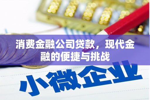 清镇消费金融公司贷款，现代金融的便捷与挑战