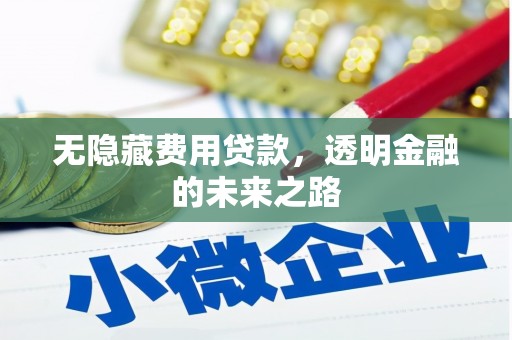 清镇无隐藏费用贷款，透明金融的未来之路