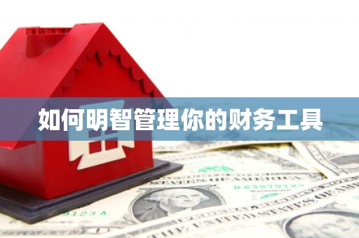 清镇如何明智管理你的财务工具