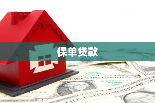 清镇保单贷款