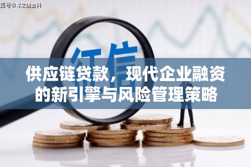 清镇供应链贷款，现代企业融资的新引擎与风险管理策略
