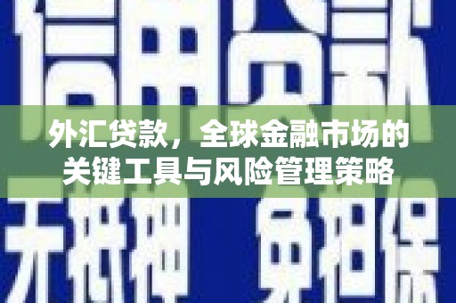 清镇外汇贷款，全球金融市场的关键工具与风险管理策略