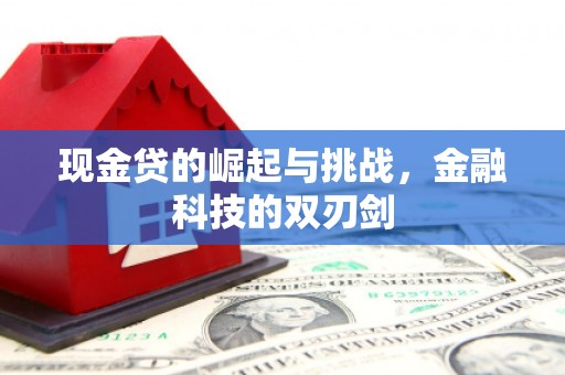 清镇现金贷的崛起与挑战，金融科技的双刃剑