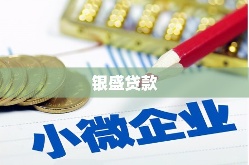 清镇银盛贷款