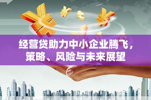 清镇经营贷助力中小企业腾飞，策略、风险与未来展望
