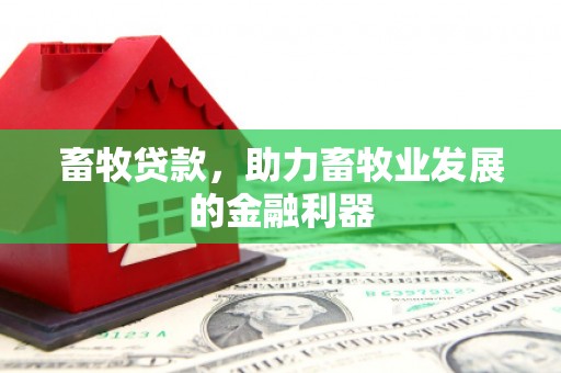 清镇畜牧贷款，助力畜牧业发展的金融利器