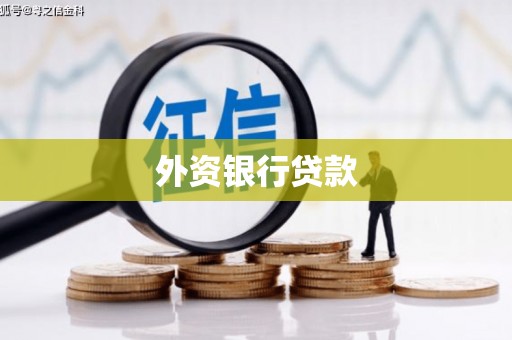 清镇外资银行贷款