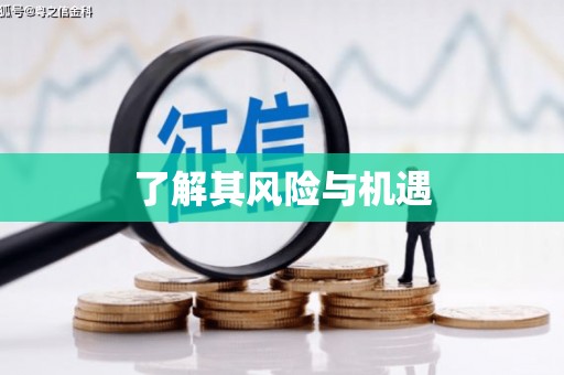 清镇了解其风险与机遇