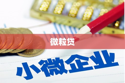 清镇微粒贷