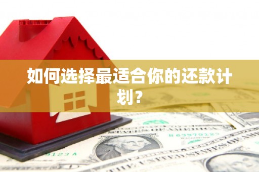 清镇如何选择最适合你的还款计划？