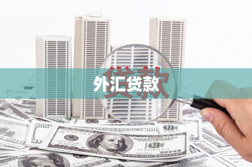 清镇外汇贷款