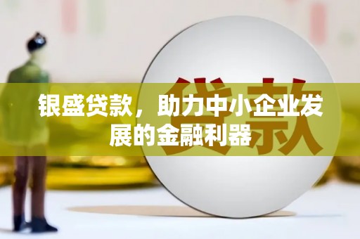 清镇银盛贷款，助力中小企业发展的金融利器