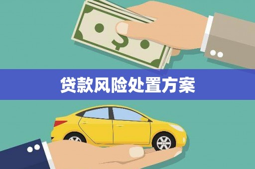 清镇贷款风险处置方案