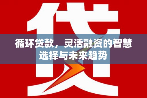 清镇循环贷款，灵活融资的智慧选择与未来趋势