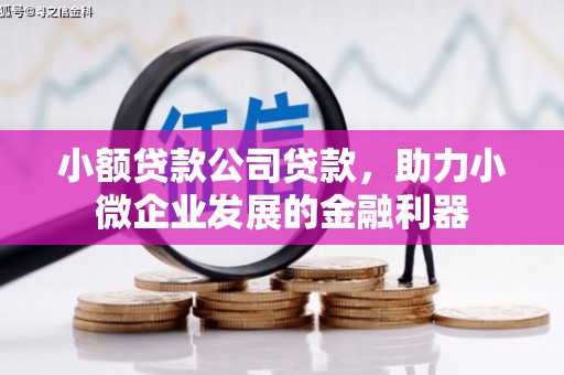 清镇小额贷款公司贷款，助力小微企业发展的金融利器