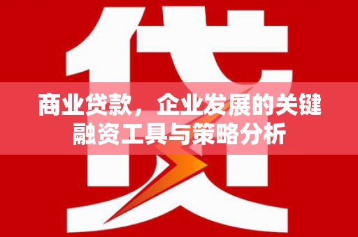 清镇商业贷款，企业发展的关键融资工具与策略分析