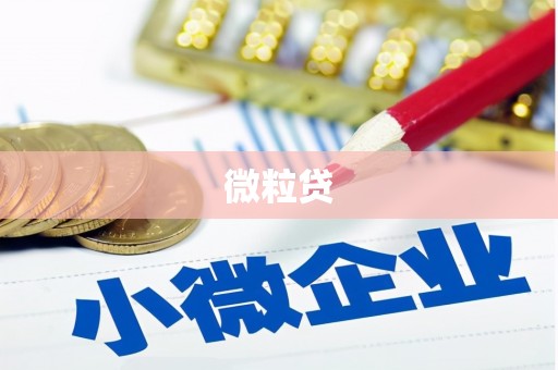 清镇微粒贷