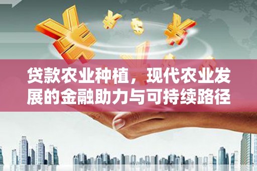 清镇贷款农业种植，现代农业发展的金融助力与可持续路径