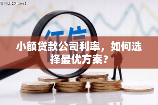 清镇小额贷款公司利率，如何选择最优方案？