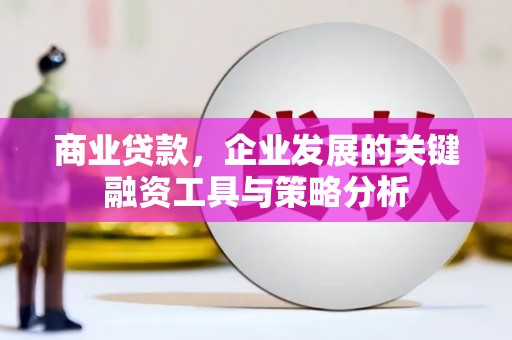 清镇商业贷款，企业发展的关键融资工具与策略分析