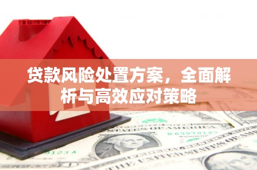 清镇贷款风险处置方案，全面解析与高效应对策略