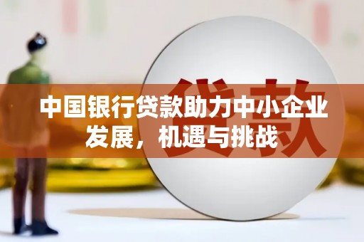 清镇中国银行贷款助力中小企业发展，机遇与挑战