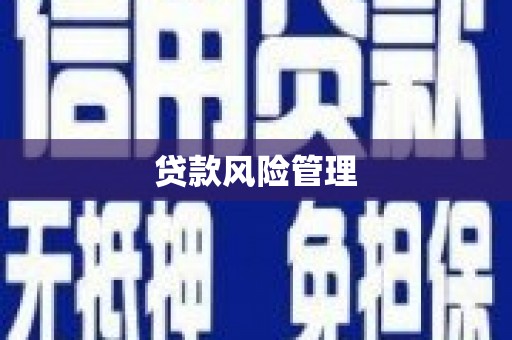 清镇贷款风险管理
