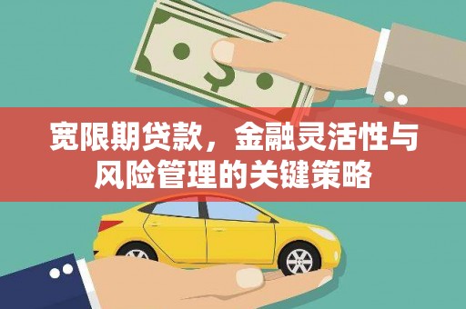 清镇宽限期贷款，金融灵活性与风险管理的关键策略