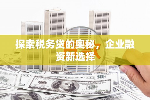 清镇探索税务贷的奥秘，企业融资新选择
