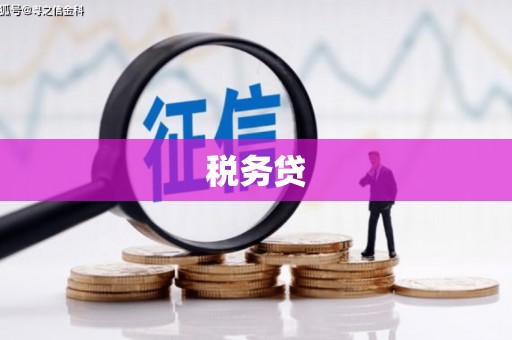清镇税务贷