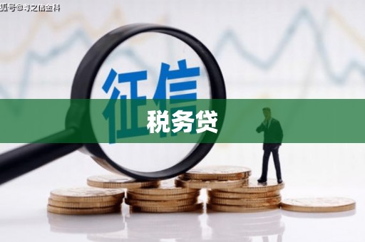 清镇税务贷