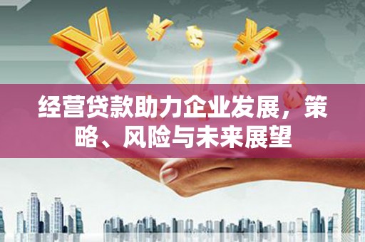 清镇经营贷款助力企业发展，策略、风险与未来展望
