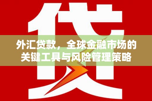 清镇外汇贷款，全球金融市场的关键工具与风险管理策略