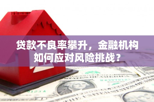 清镇贷款不良率攀升，金融机构如何应对风险挑战？