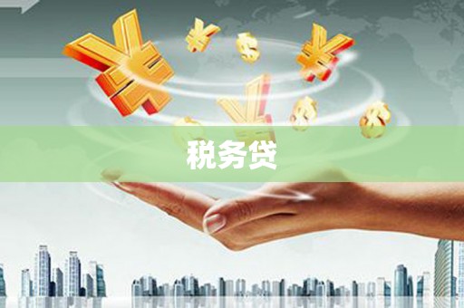 清镇税务贷