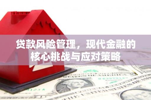 清镇贷款风险管理，现代金融的核心挑战与应对策略