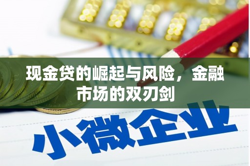 清镇现金贷的崛起与风险，金融市场的双刃剑